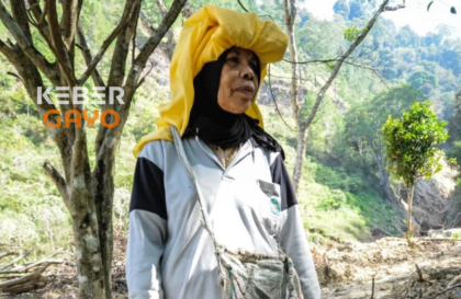 eorang petani di Desa Bebuli, Kecamatan Takengon, Aceh Tengah, harus menerima kenyataan pahit setelah kebun kopi miliknya hancur